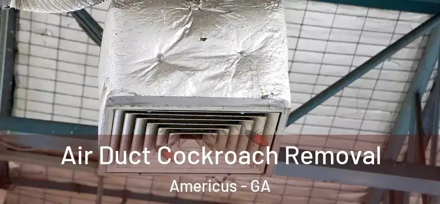  Air Duct Cockroach Removal Americus - GA