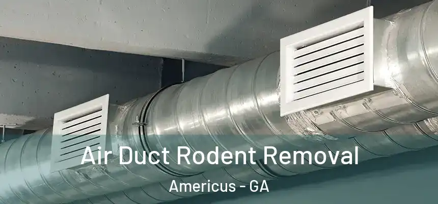 Air Duct Rodent Removal Americus - GA