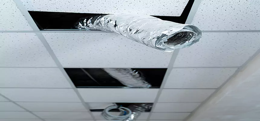 Our Air Duct Pet Hair Removal Services in Americus, GA