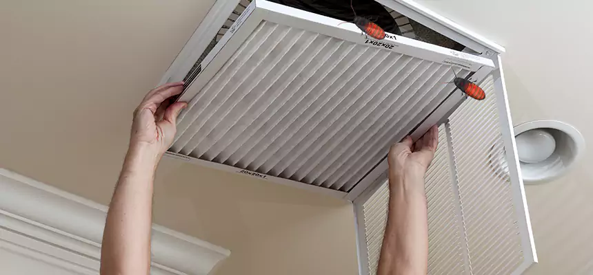 Our Insect Removal from Air Ducts Services in Americus, GA