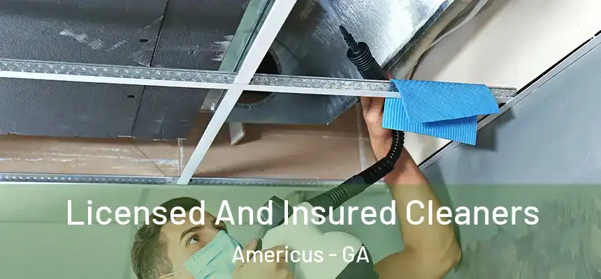  Licensed And Insured Cleaners Americus - GA