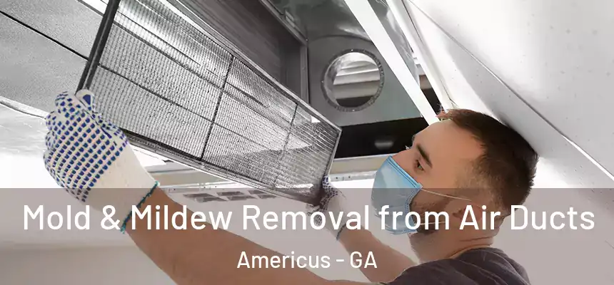  Mold & Mildew Removal from Air Ducts Americus - GA