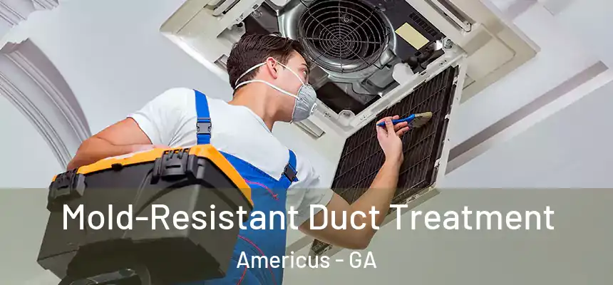  Mold-Resistant Duct Treatment Americus - GA