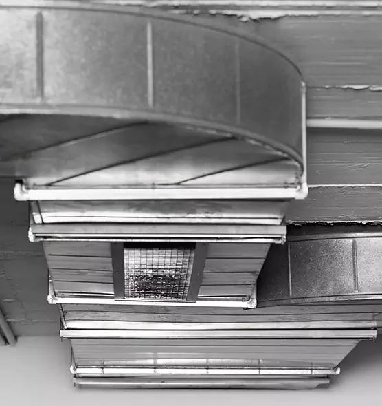 Professional Air Duct Pest Removal in Americus, GA