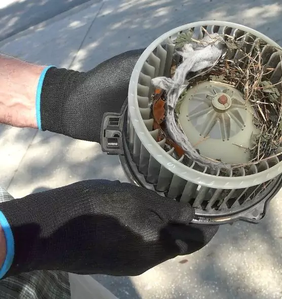 About Air Duct Rat Removal in Americus, GA