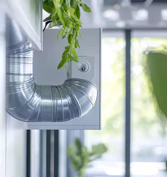 Professional Eco-Safe Dryer Vent Cleaning in Americus, GA