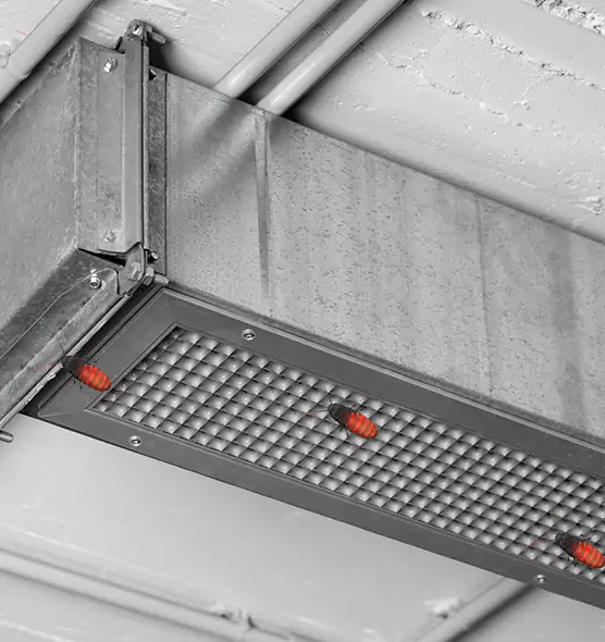 Affordable Insect Removal from Air Ducts in Americus, GA