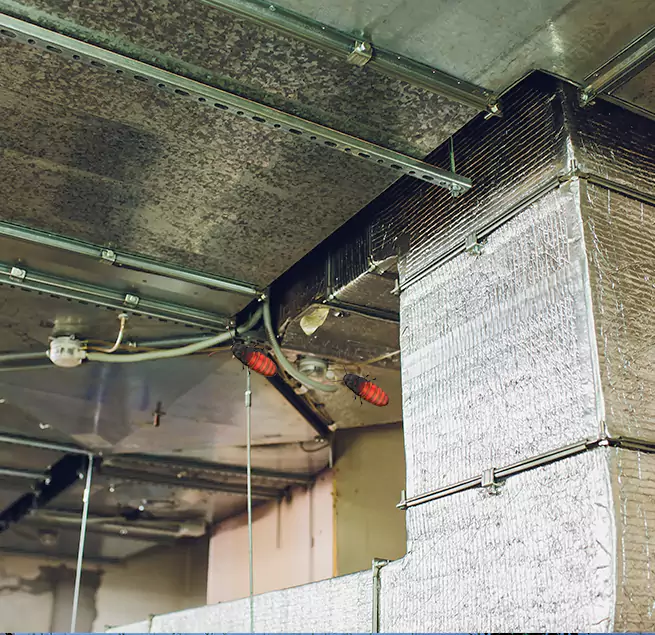 Why Homeowners & Businesses Trust Us Americus, GA?